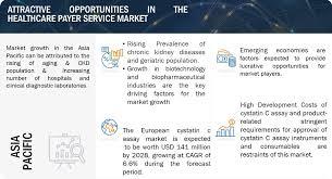 Cystatin C Assay Market Size And Global ...